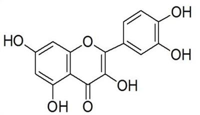 Quercetin Alleviates LPS-Induced Depression-Like Behavior in Rats via Regulating BDNF-Related Imbalance of Copine 6 and TREM1/2 in the Hippocampus and PFC